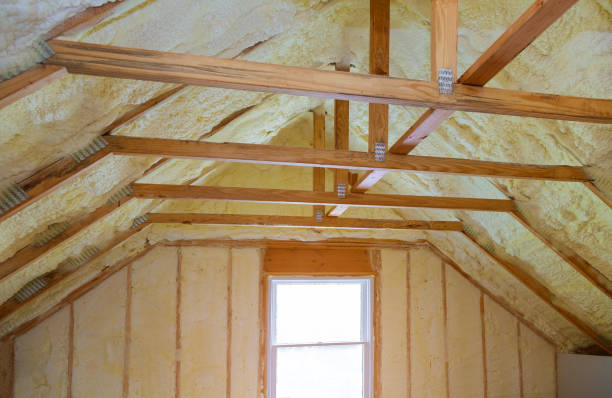 Best Spray Foam Insulation  in Ashford, AL