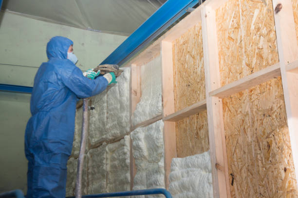 Best Soundproof Insulation Installation  in Ashford, AL